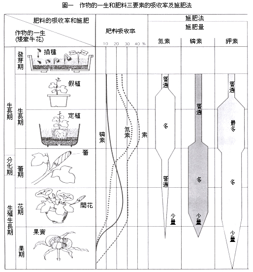 植物缺素症