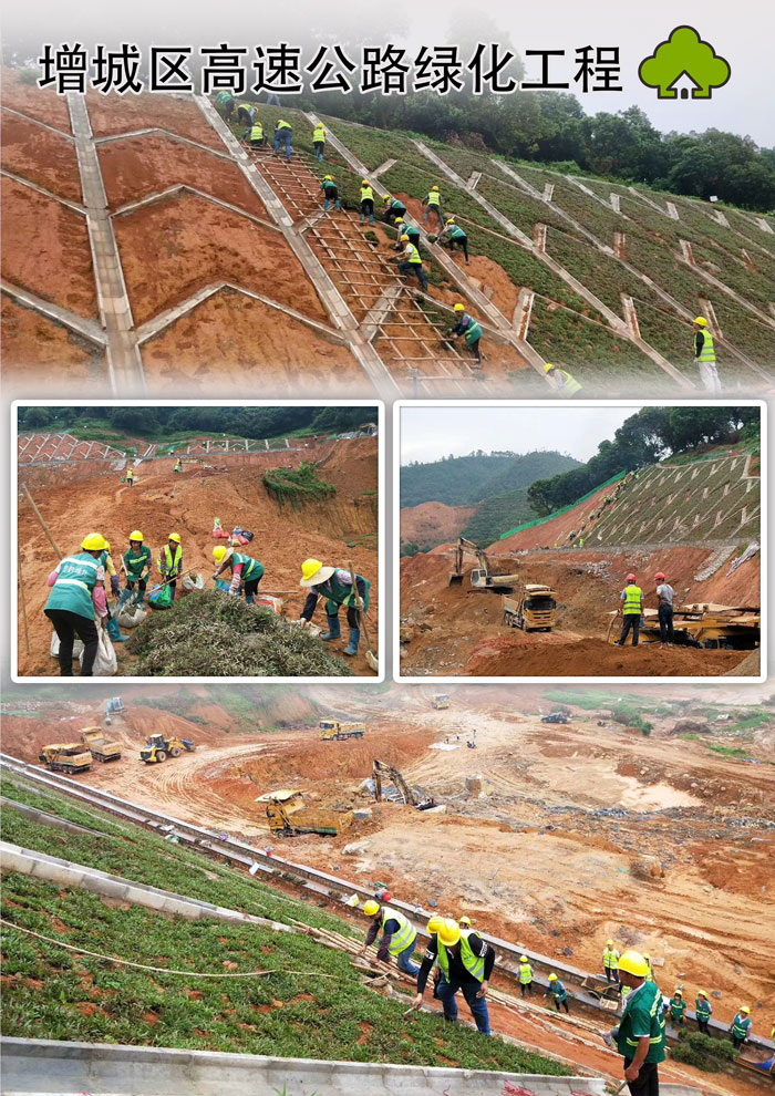 增城区高速公路绿化工程