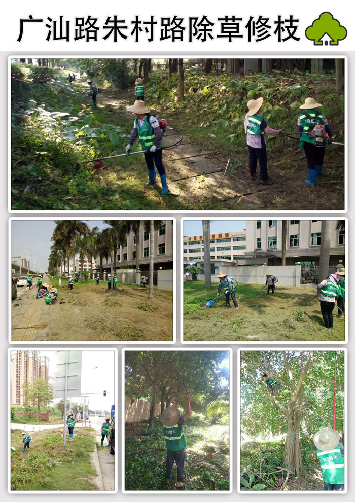 广汕路朱村路除草修枝