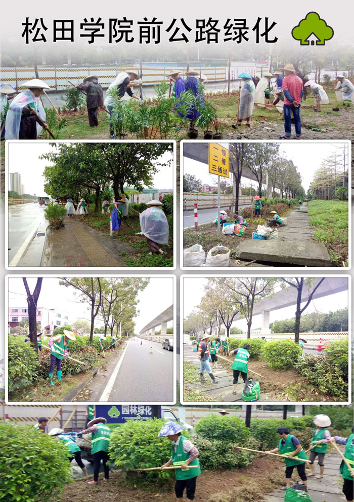 增城区松田学院前公路绿化工程